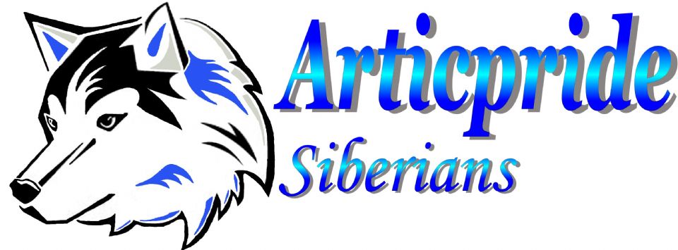 Articpride Siberian Huskies